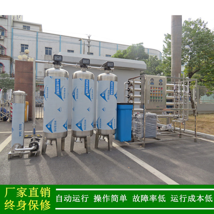 供应湿巾生产用EDI纯水设备二级反渗透去离子水设备工业超纯水机