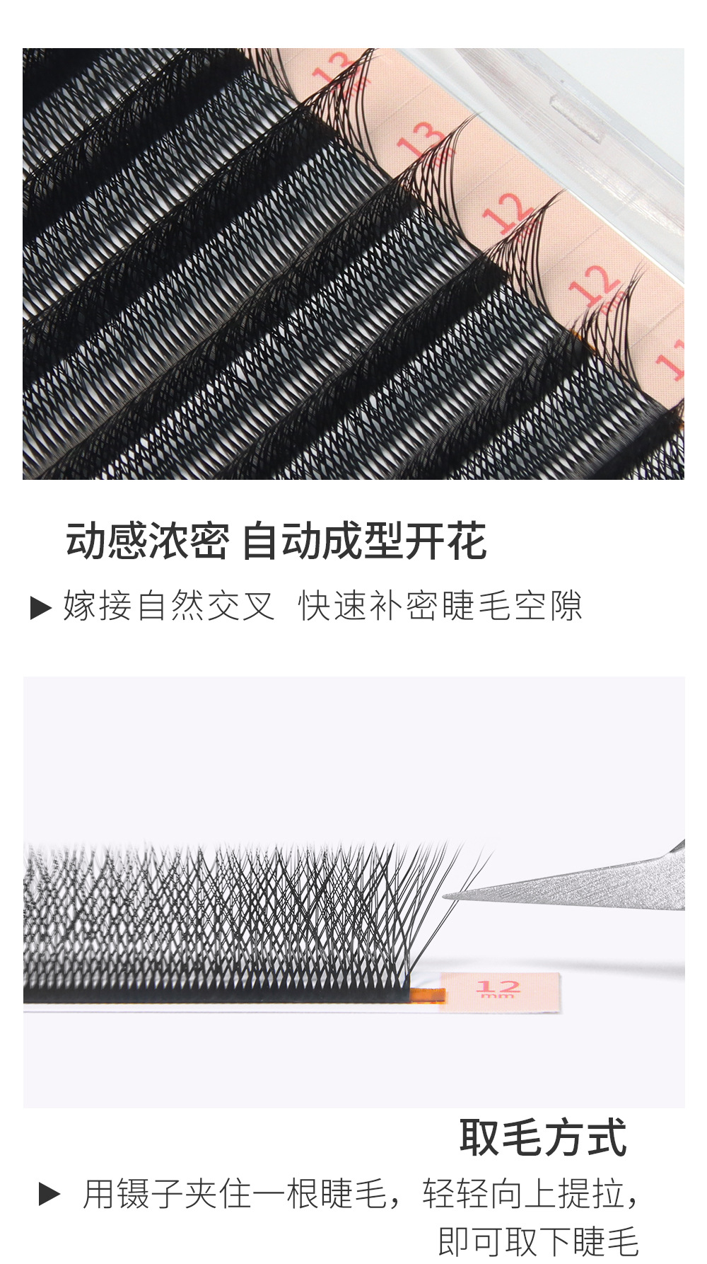 六叶草嫁接睫毛 六叶草嫁接睫毛