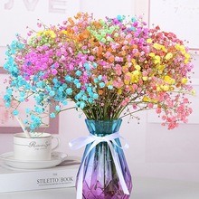 ƿMǸɻr滨͏dȻb[OҔ[ҾӲ廨