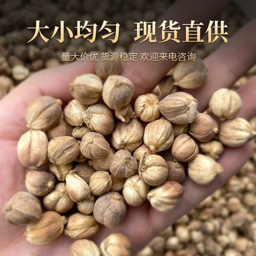 Hand-selected white cardamom wholesale white cardamom particles, bean cardamom stewed meat, spicy seasoning