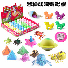 泡水孵化动物蛋乌龟蜘蛛甲虫小玩具创意稀奇古怪儿童搞怪膨胀玩具
