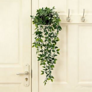 ���R�d�羳����Ғ�ֲ�������_�ȼ�������~���������҃�����[�