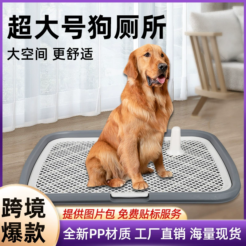 Туалеты для собак пересекают границу