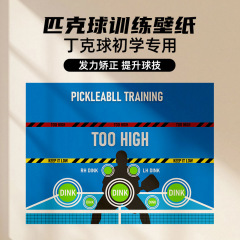 匹克球训练墙纸pickleball新手练习训练器专业赛训练器材墙靶贴纸