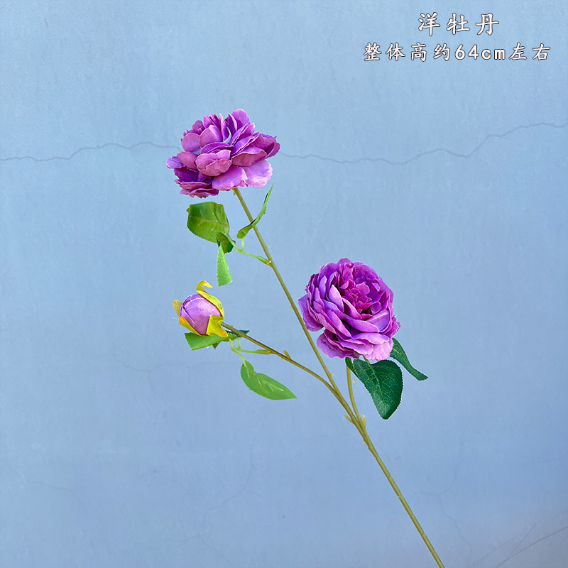 3 Foreign peonies-retro purple