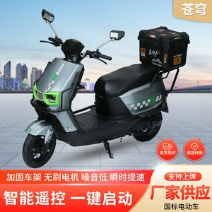 Electric Motorcycle, Scooter, High-Power Lithium Battery, Long Range