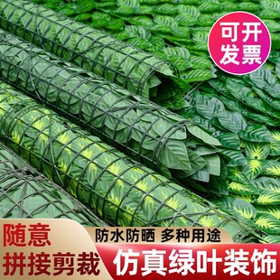 ���Ʒ���ֲ��G�~���b����ϻh�ʇ����řڑ������̨�ړ��G�}