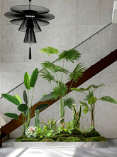 大型仿真绿植造景加州蒲葵假植物室内橱窗装饰景观楼梯下庭院布置