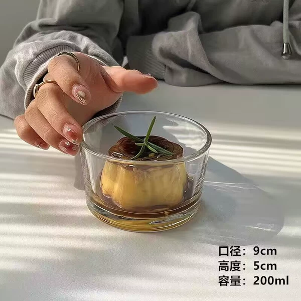 Plane model