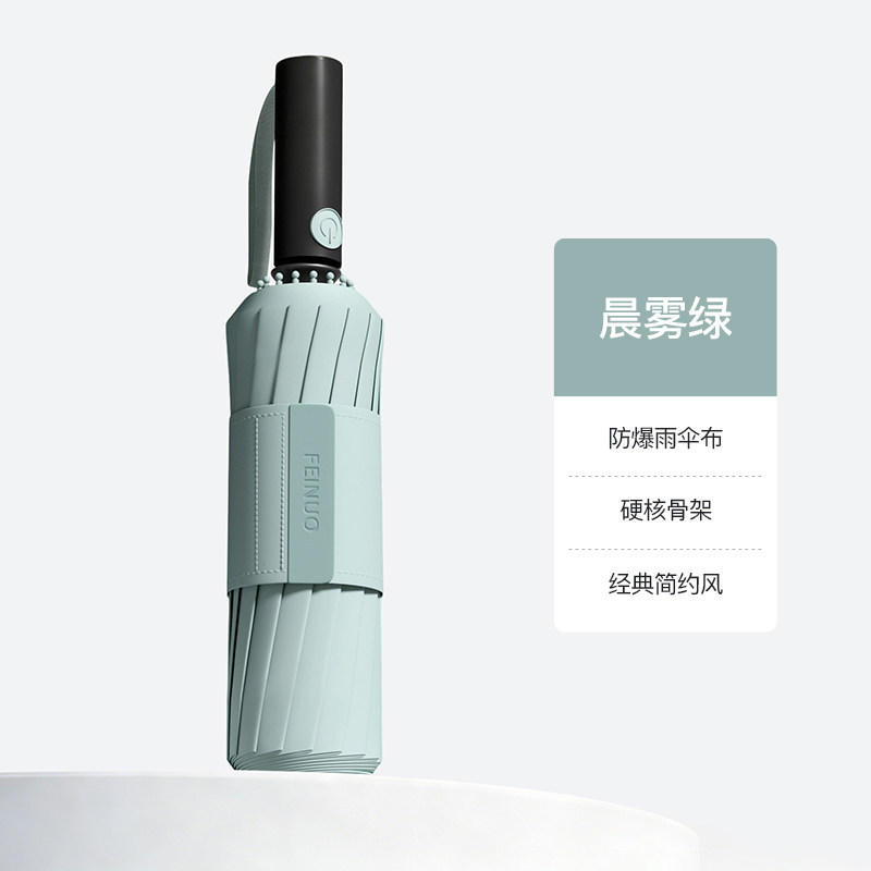 16 hueso de la mañana niebla verde