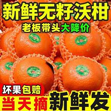 ��5����80-100g���V�����Q�Fժ�ЋD������Ƥˮ���������ӽ���