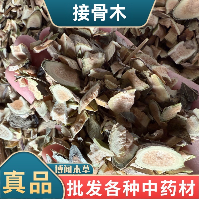 接骨木中药材 正品公道老马尿骚接骨丹扦扦活 冷背批发大全