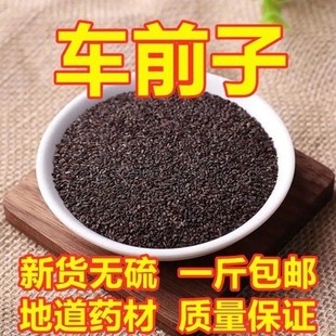 ܇ǰ�� ��ș�����l܇ǰ�� �}܇ǰ�� ��܇ǰ�Ӹ��NҎ���؛����