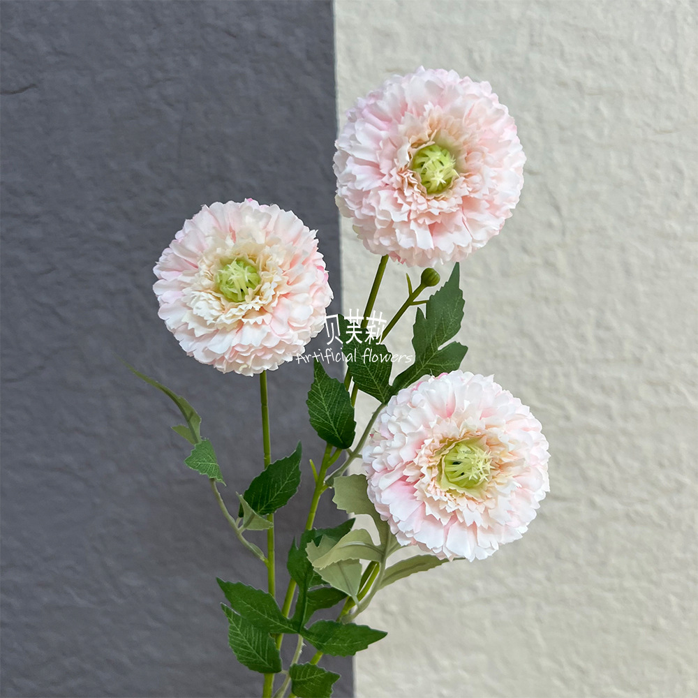 뉴멜라루카 피오니-라이트 핑크