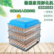 全自动家用微型孵化机小鸡孵蛋器新款滚轴鸡鸭鹅鸽鹌鹑鸟孵化箱