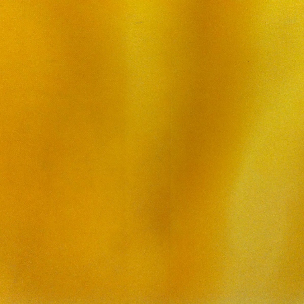 2024-12-19 10:37:57.jpg