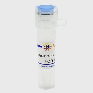 SC0326 Y-27632 (ROCK抑制剂) 碧云天生物