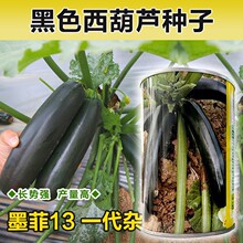 ī�������J�N�Ӵ����Ƥ�����J�óԴ���ھG�й�ɵĺ������J�N��