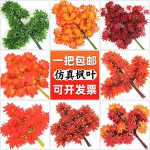 ����t���~�b�֦�٘��~���ϼٻ��ٗl�҃����Ⲽ�ù����쾰�~��