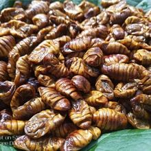 ��Ӽ������ʯȪ�ز��ɲ�Ӽ�ɴ���ɣ��Ӽԭζ�ɲ�Ӽ��������û�