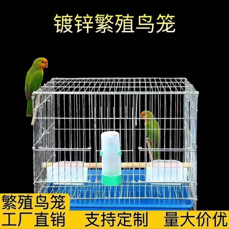 鹦鹉笼子大空间镀锌鸟笼八哥虎皮玄凤小太阳电镀锌繁殖笼超大空间|undefined