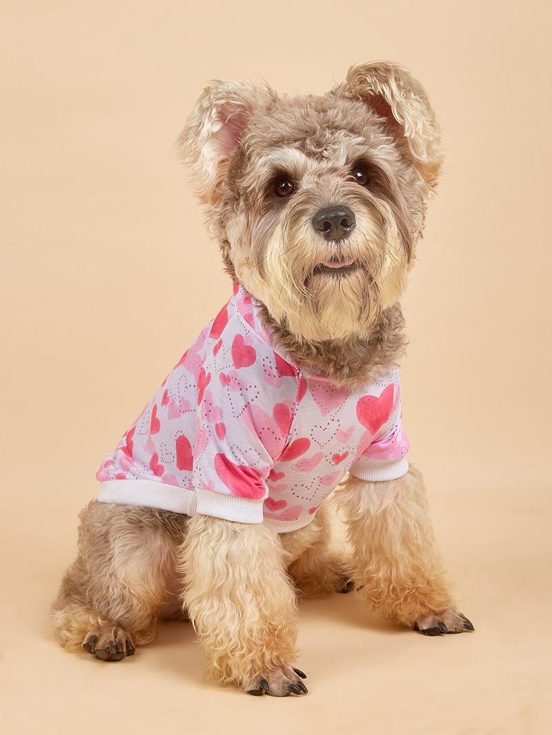 Hawaiian Polyester Valentine's Day Lips Heart Shape Pet Clothing display picture 6