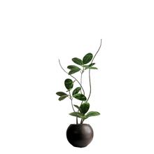 綠植黑金剛橡皮樹輕奢客廳擺件大型落地侘寂風仿生假植物絹花植絨