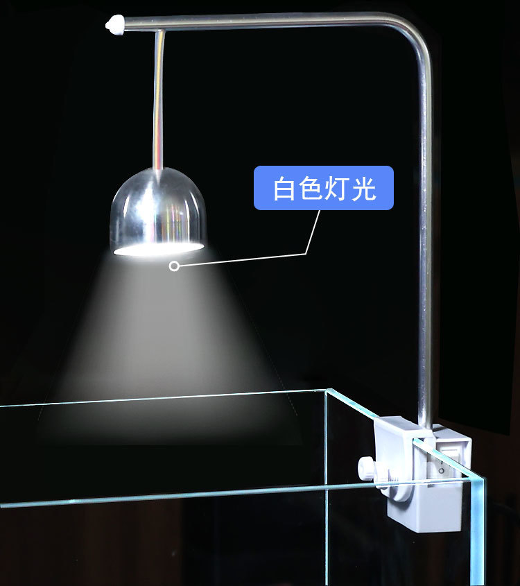 4940c61e-509f-4f8a-9b20-68d0918e6800.jpe