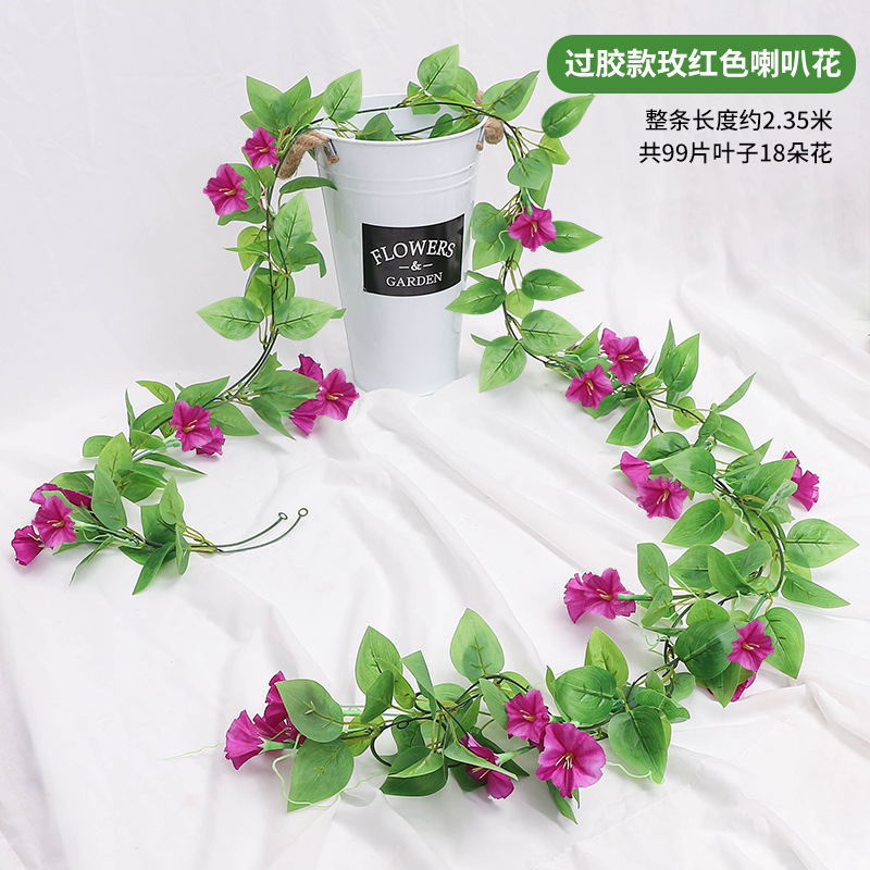 자홍색