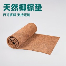 �羳�ɲü�����Ҭ�؉|Ҭ�zҬ���w�S��̺�|ֲ�ﱣů��������Ҭ�؉|