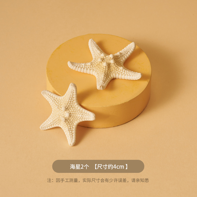 Ins Summer Micro Scenery Beach Accesorios fotográficos Cosméticos Bodegón Fotografía de pose Shell Arenas movedizas Tela de fondo marino