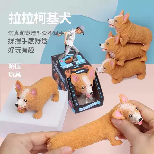 Boxed corgi