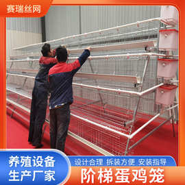 现货供应鸡笼蛋鸡笼设备家用室内室外养鸡笼鸡舍养殖笼阶梯蛋鸡笼