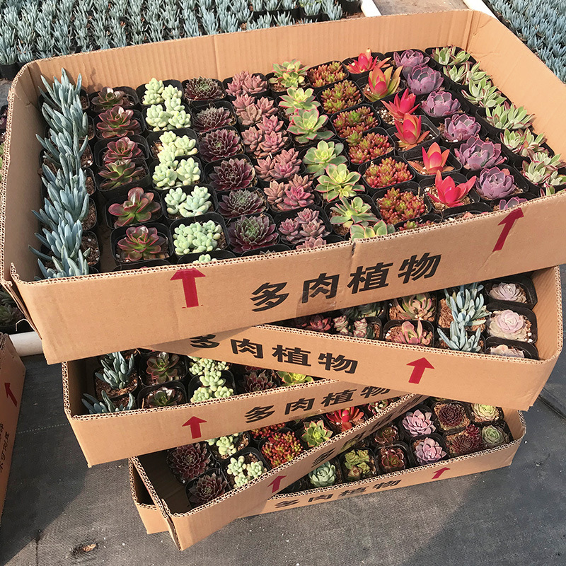 微信图片_20210219205134 拷贝