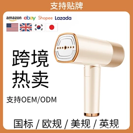 挂烫机;电熨斗;清洁球/刷