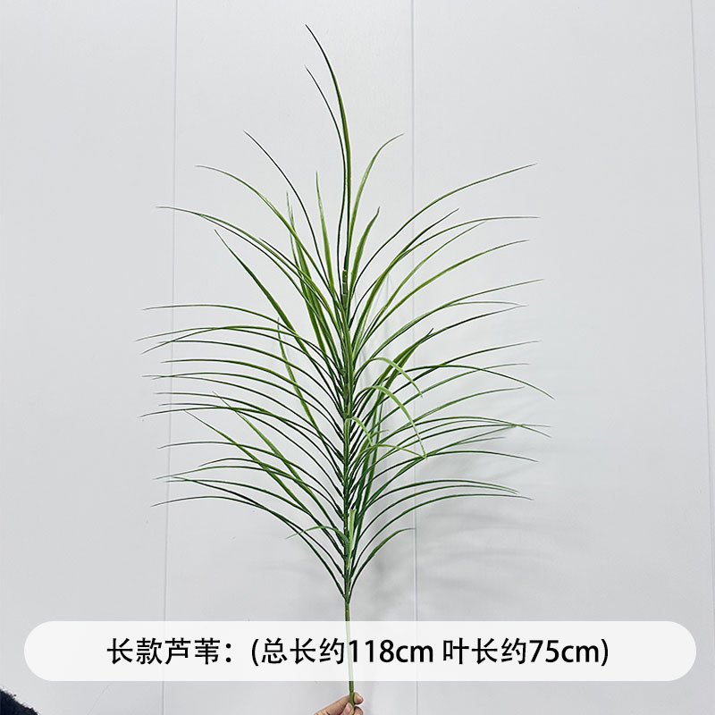 芦荀草绿植花龙须草假花白绿森系婚庆装饰自然风背景插花路引|undefined