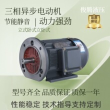ȫͭ��о�����ͱõ��YE3�����ͱ�Һѹվ�������ʽ����ʽ���