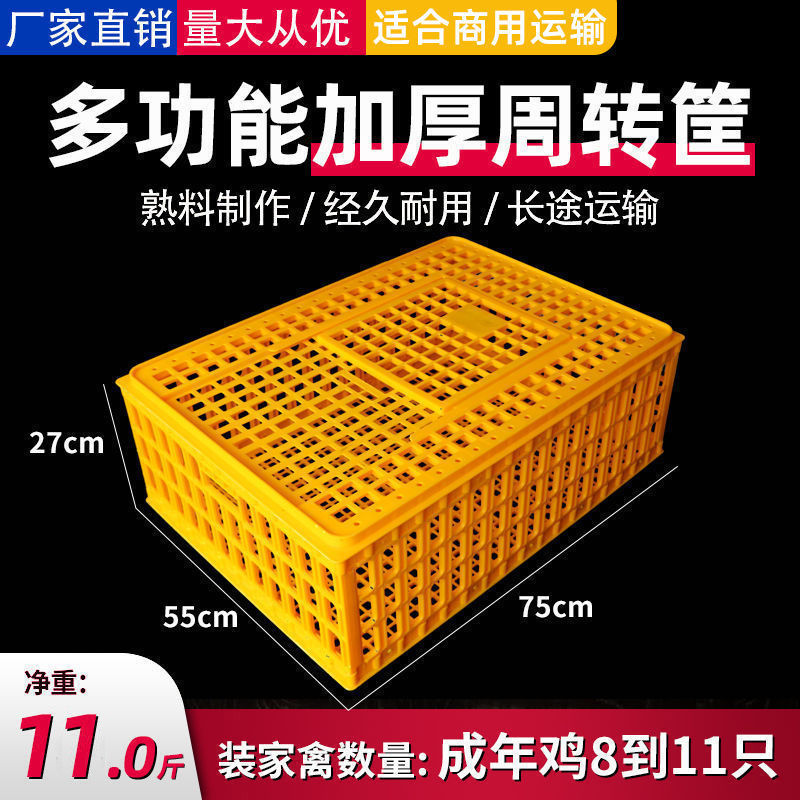 5.5kg 정사각형 두꺼운 닭장