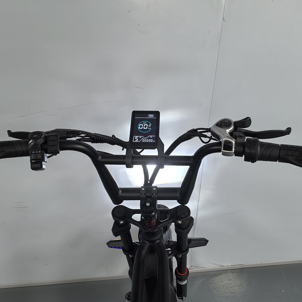 20-inch Fat Tire Off-Road Snow Beach Integrated Wheel Electric Bicycle