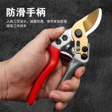 @ֹ֦辰@ˇ޼֦ˇʡ֦l