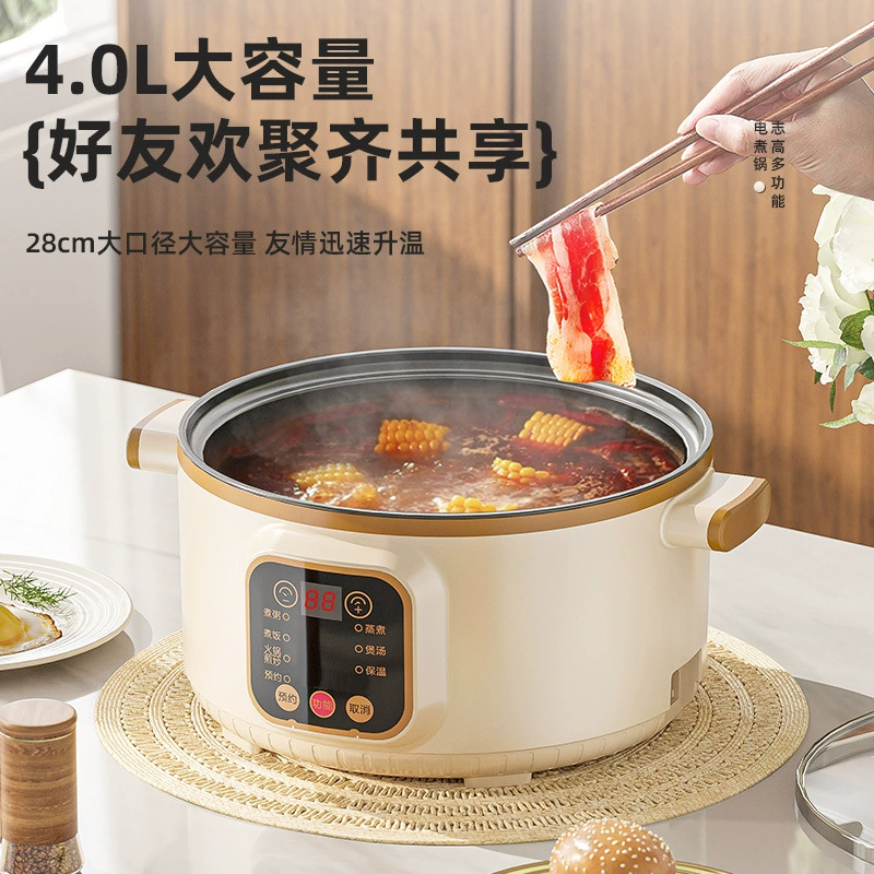 Electric multi-function cooking pot, 20–28 cm, 2.0–4.0 L, mechanical & smart steamer options