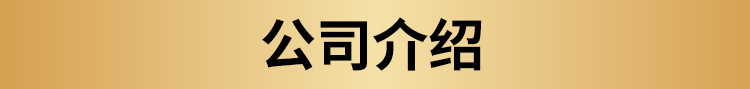 公司介绍