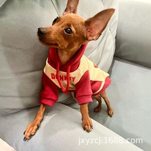 ���l���Ƽ��NС¹�����pȮ�o�lȮ���w���ﹷ����HȮС�Ͳ豭��