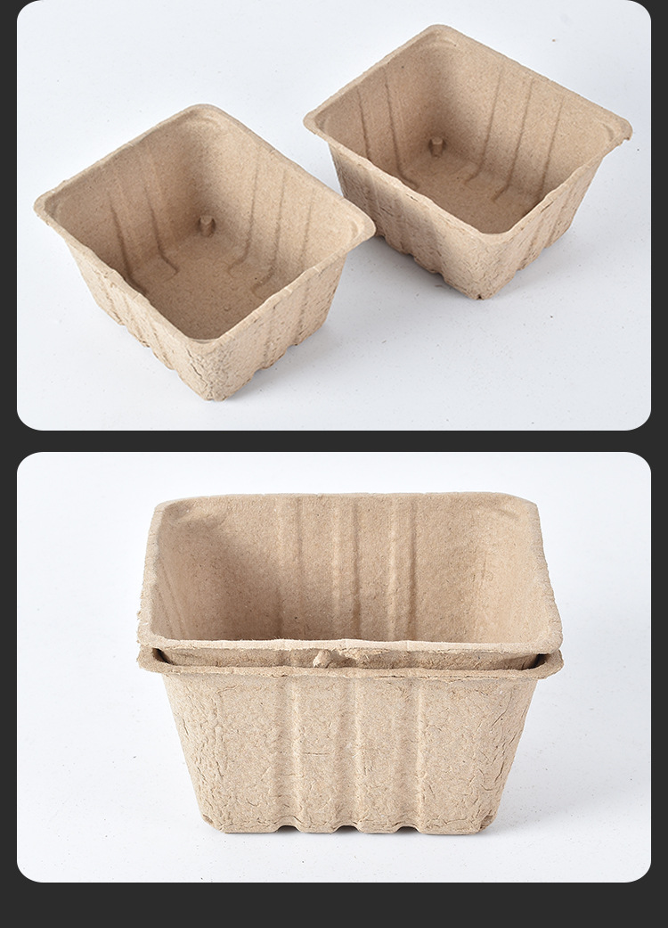 13.16果蔬纸浆托 (11).jpg