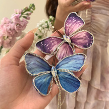 ������� ���º���ˮ����K�l�AŮ2025�¿�߶˂�߅�A���^l��