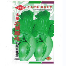 �T�����߲˷N�ӏV�|ˮ�|��˷N�ӻ�����@�̨����1��1��ͥԺ