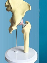 �˹��P��ģ�ͼ�֫��Q�gǰ�����y���ÓQ�ǿ��t���R�����ٽ̌W