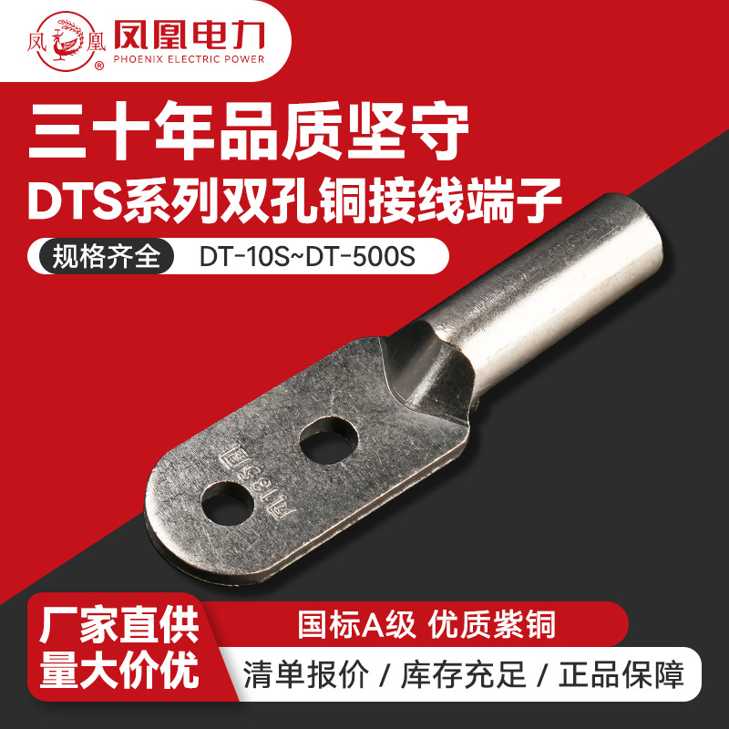 双孔铜接线端子凤凰 DTS酸洗镀锡端头连接器紫铜接线线耳铜鼻子