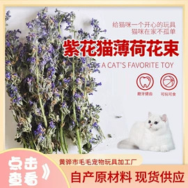 猫猫玩具;猫猫零食;仓鼠玩具
