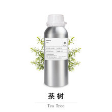 茶树单方精油 进口互生叶白千层油现货批发 Tea Tree EO